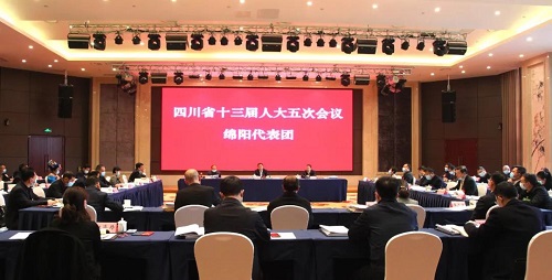 王瑜、凌云参加省十三届人大五次会议绵阳代表团讨论发言2.jpg