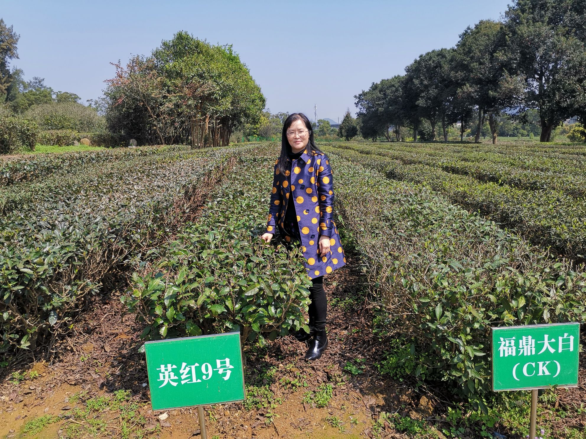 qq_pic_merged_1553495889140.jpg