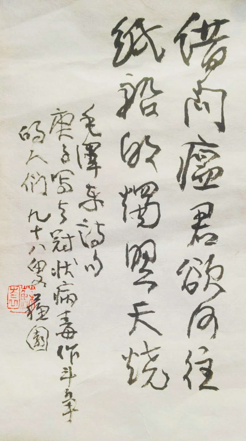 苏园：借问瘟君欲何往.png