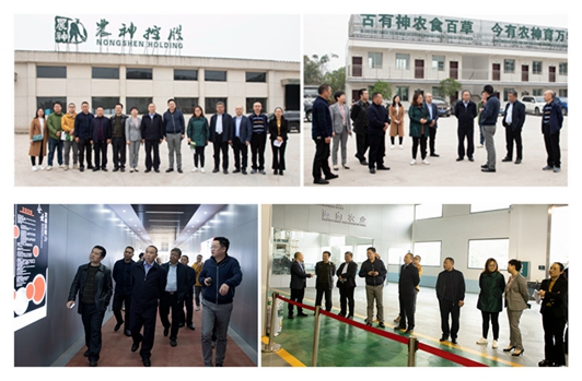 光影魔术手拼图22.jpg