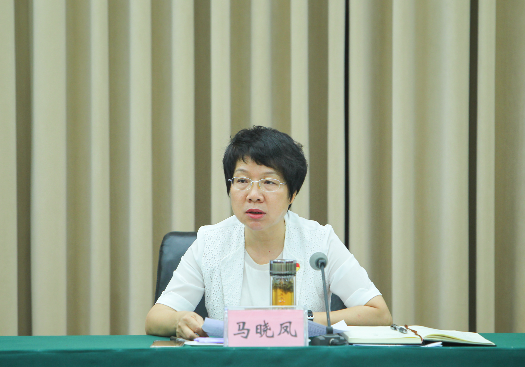 中共攀枝花市委常委、统战部部长马晓凤出席开幕式并讲话.jpg