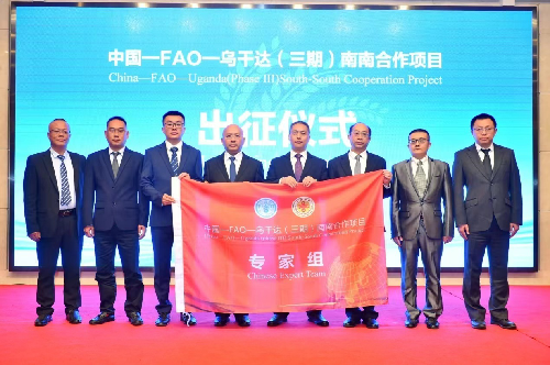 杨齐_副本.png