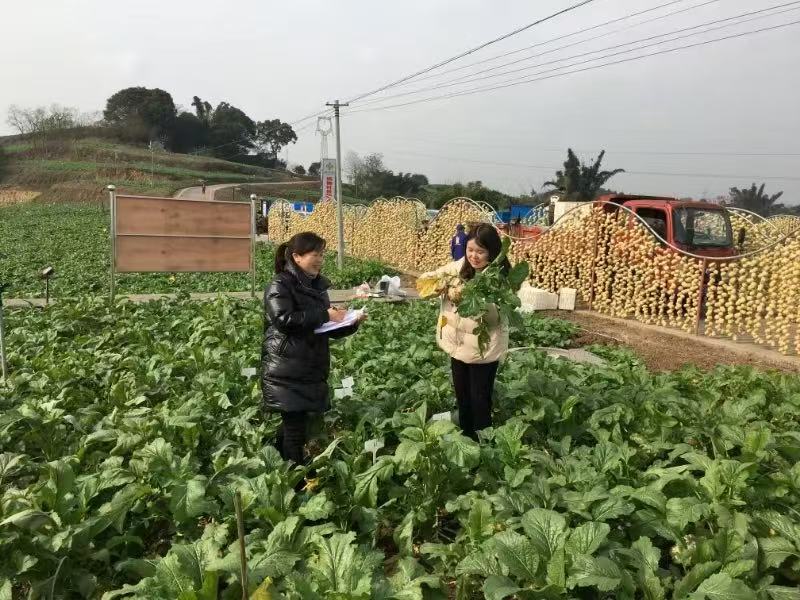 微信图片_20250728092637_7.jpg
