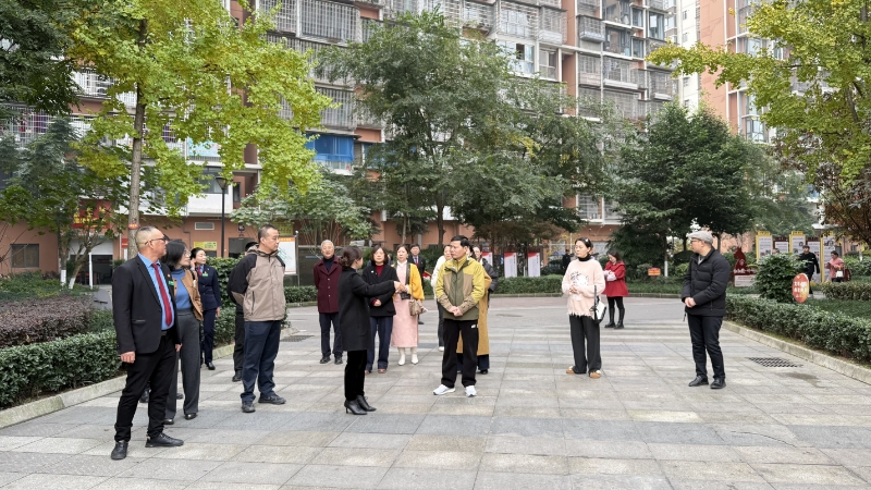 微信图片_20251202091248.jpg 微信图片_20251202091248.jpg