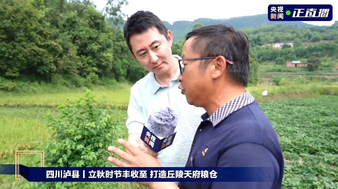 微信图片_20260807111410_1364_274.jpg 微信图片_20260807111410_1364_274.jpg