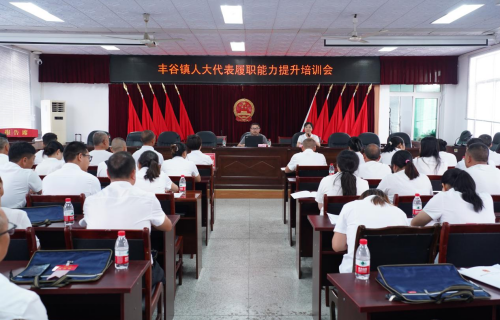 绵阳社员张启伟应邀为绵阳市丰谷镇人大代表作履职报告1.png