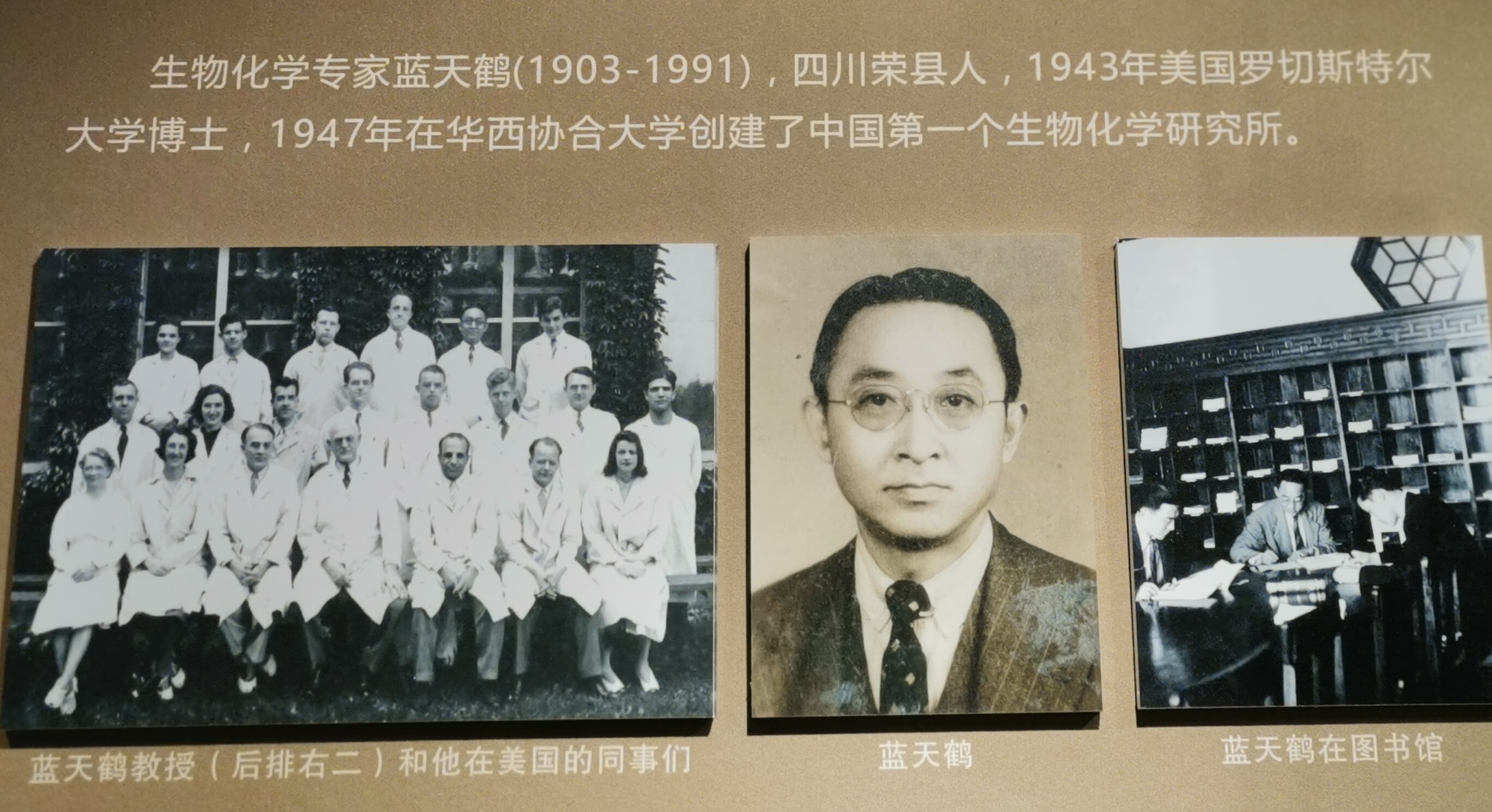 校史馆对蓝天鹤的介绍202210覃建军拍.jpg 校史馆对蓝天鹤的介绍202210覃建军拍.jpg